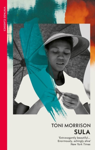 Book cover of Sula