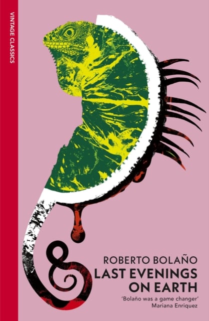 Book cover of Last Evenings On Earth