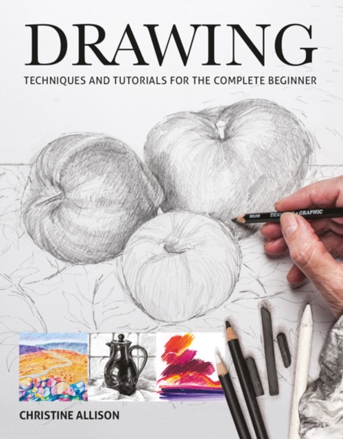 Book cover of Drawings