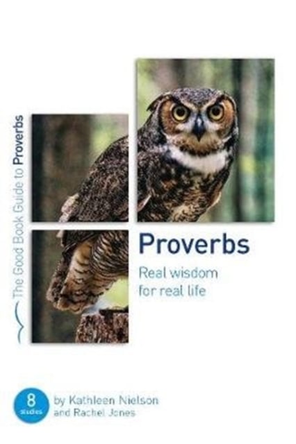 Book cover of Proverbs: Real Wisdom for Real Life