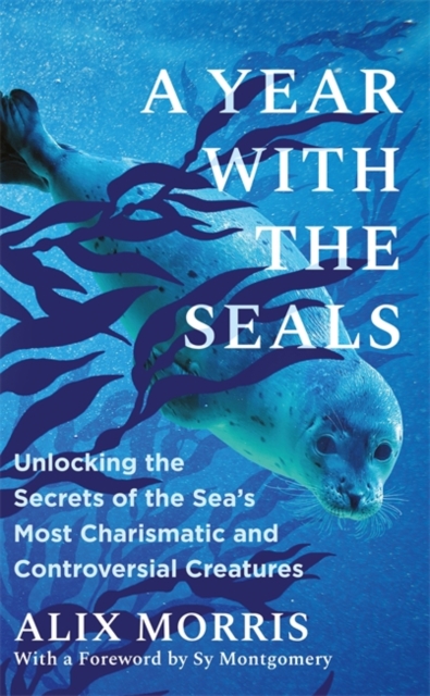 Book cover of A Year with the Seals
