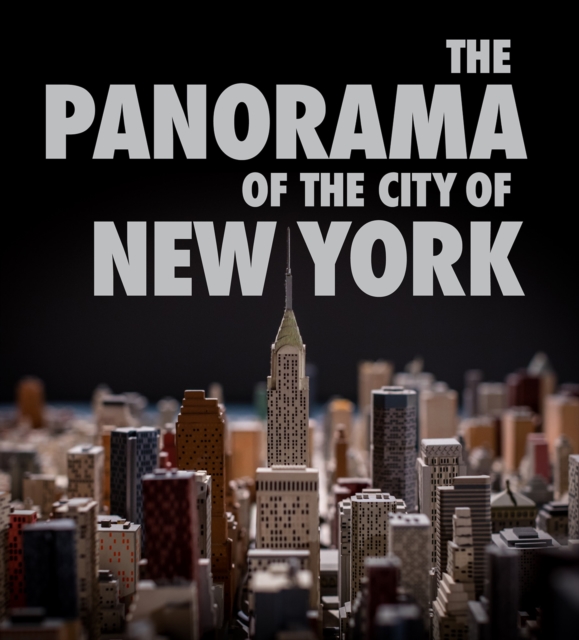 Book cover of The Panorama of the City of New York