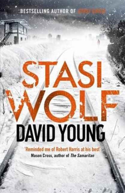 Book cover of Stasi Wolf