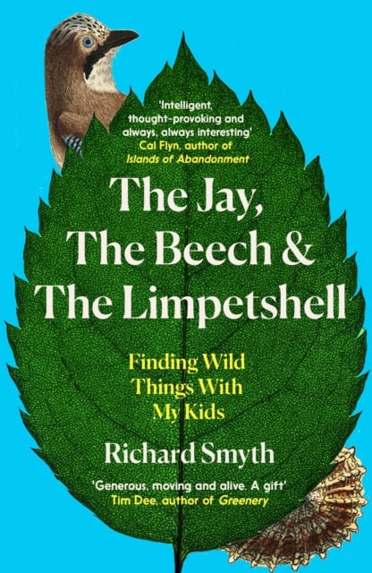 Book cover of The Jay, The Beech and the Limpetshell