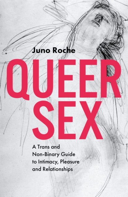 Book cover of Queer Sex