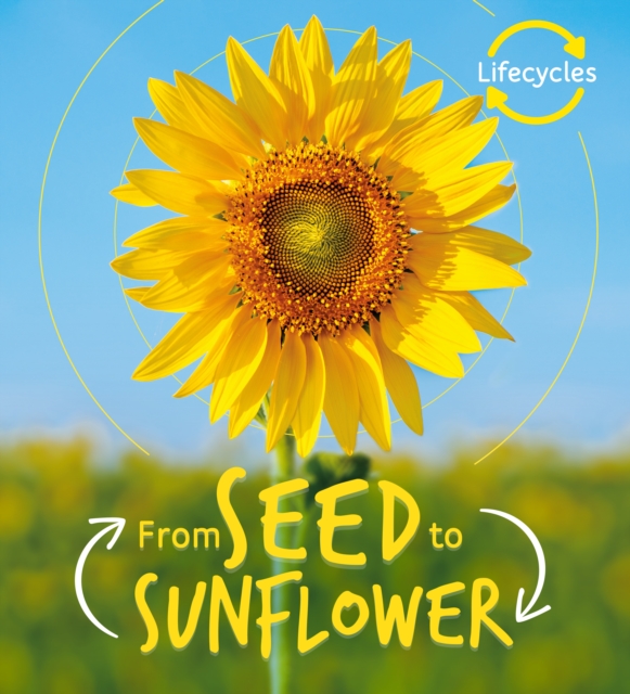 Book cover of Lifecycles: Seed to Sunflower