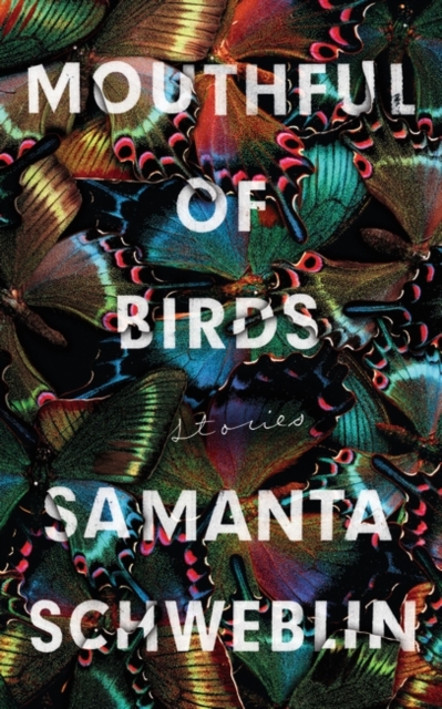 Book cover of Mouthful of Birds