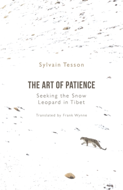 Book cover of The Art of Patience