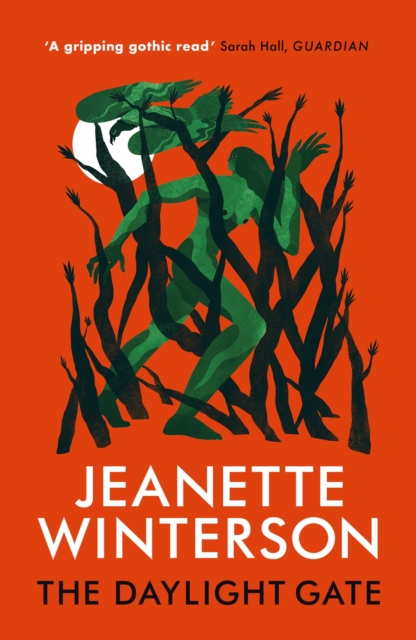 Book cover of The Daylight Gate