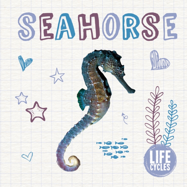 Book cover of Seahorse