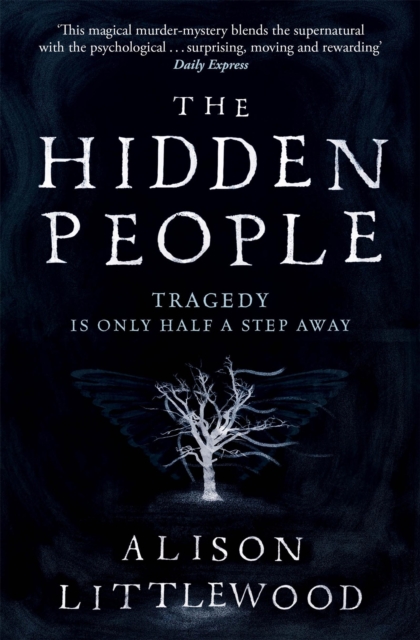 Book cover of The Hidden People