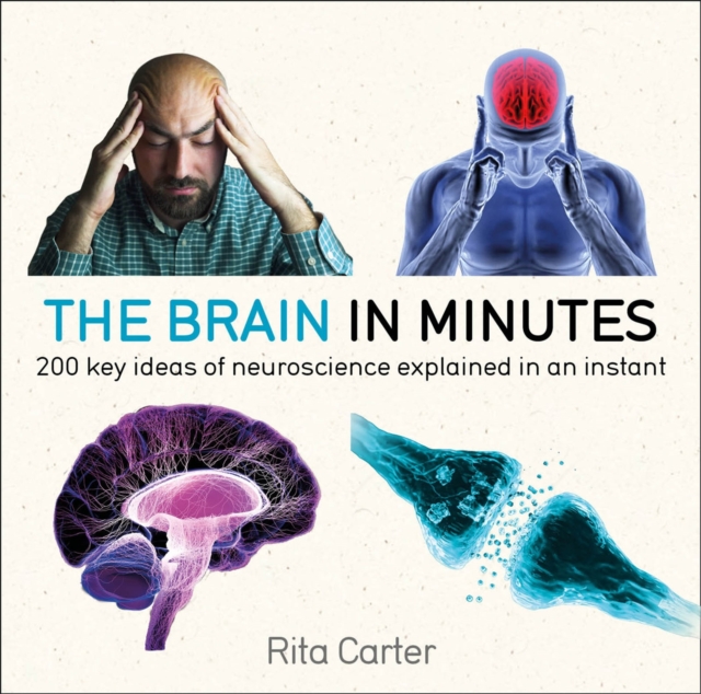 Book cover of The Brain in Minutes