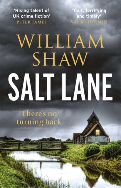 Book cover of Salt Lane