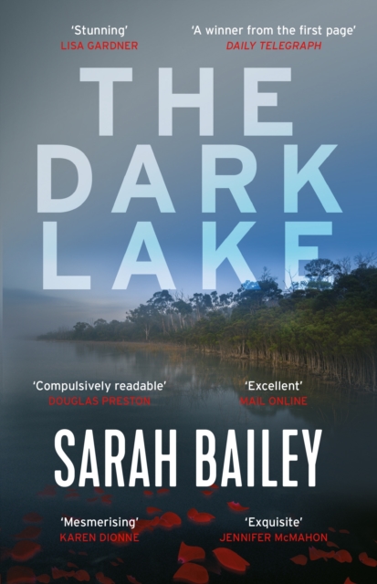 Book cover of The Dark Lake