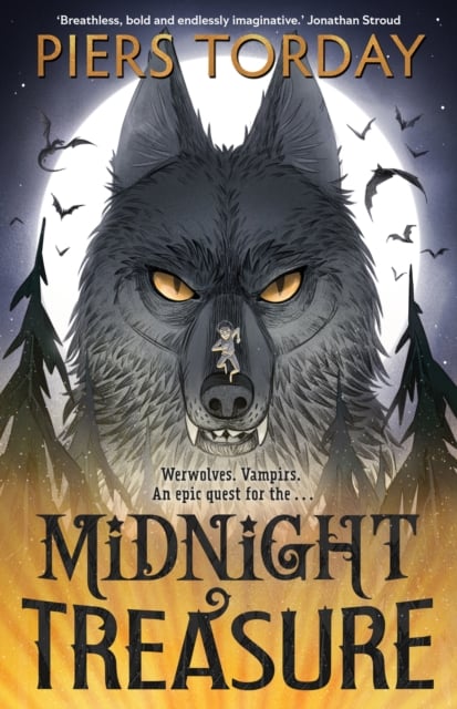 Book cover of Midnight Treasure