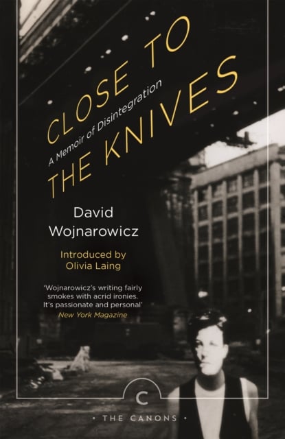 Book cover of Close to the Knives