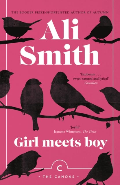 Book cover of Girl Meets Boy