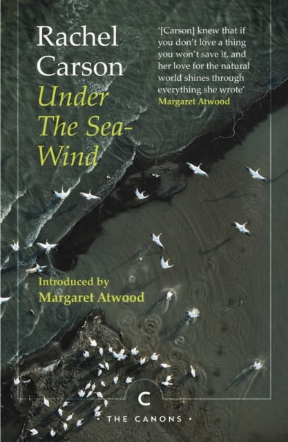 Book cover of Under the Sea-Wind