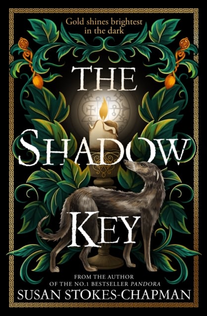 Book cover of The Shadow Key