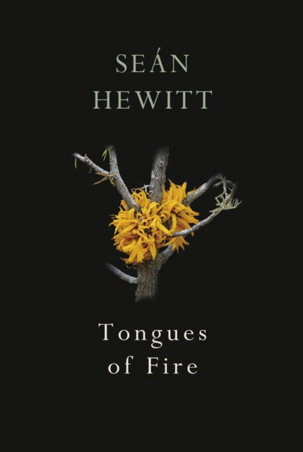 Book cover of Tongues of Fire