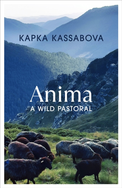 Book cover of Anima