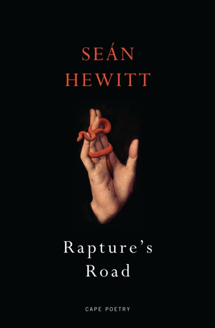 Book cover of Rapture's Road
