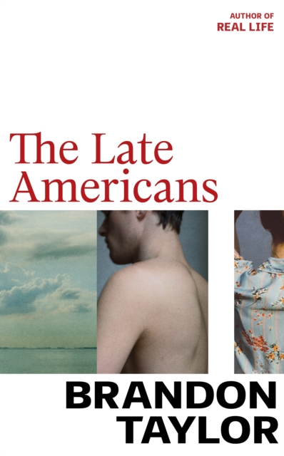Book cover of The Late Americans