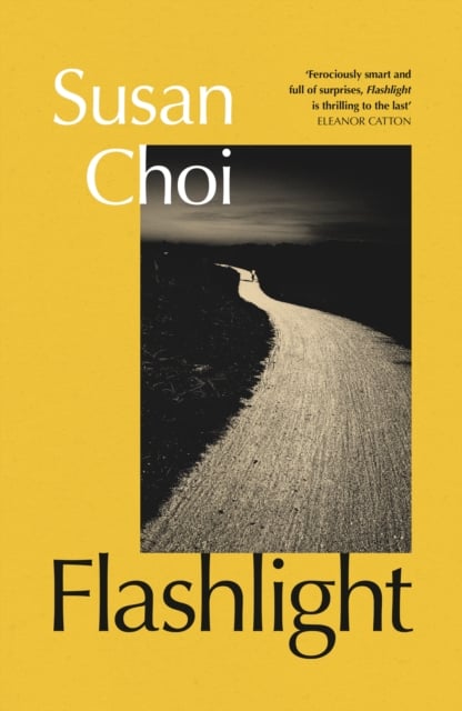 Book cover of Flashlight