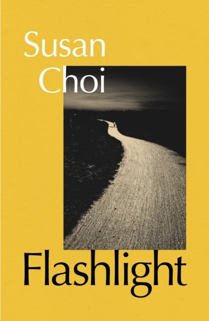 Book cover of Flashlight