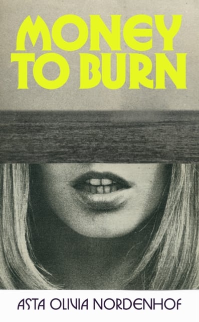 Book cover of Money to Burn