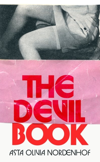 Book cover of The Devil Book