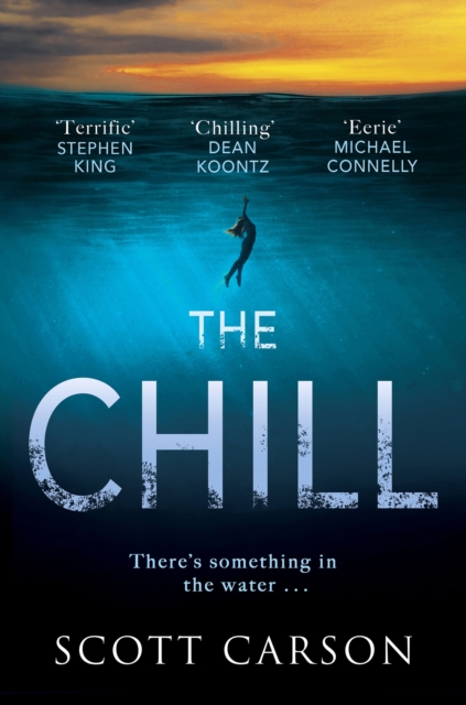 Book cover of The Chill