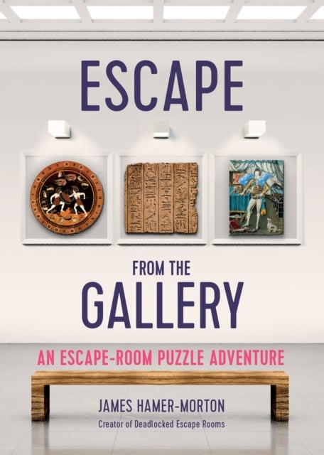 Book cover of Escape from the Gallery