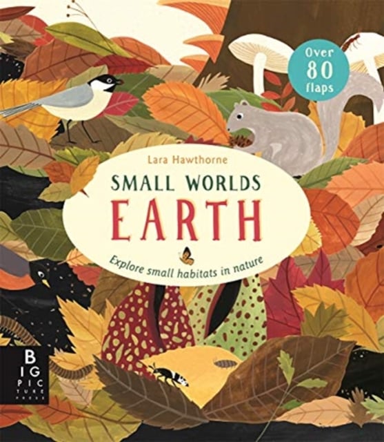 Book cover of Small Worlds: Earth