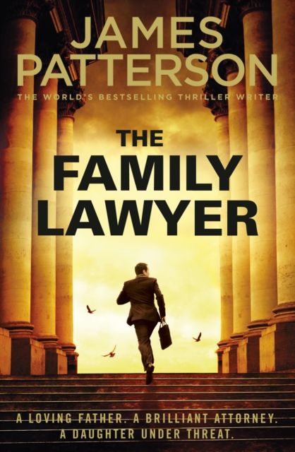 Book cover of The Family Lawyer