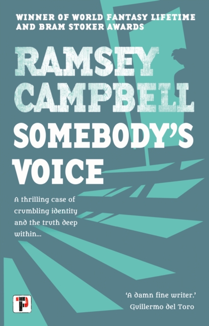 Book cover of Somebody's Voice
