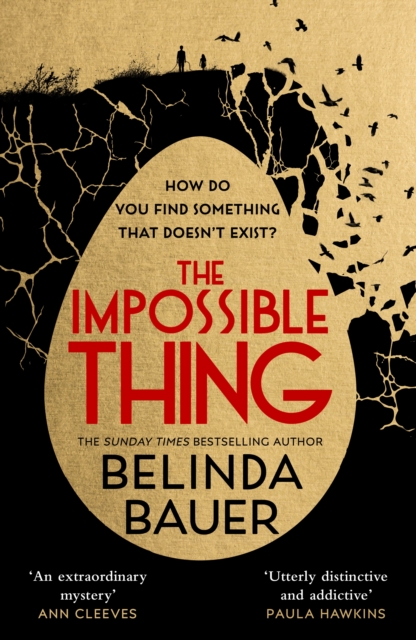Book cover of The Impossible Thing