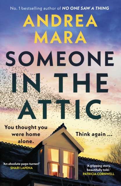 Book cover of Someone in the Attic