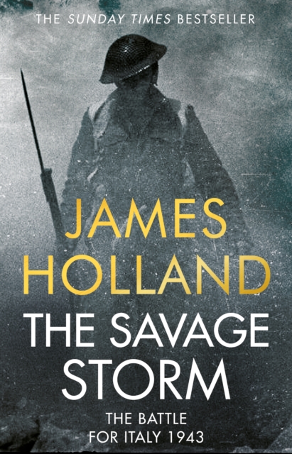 Book cover of The Savage Storm