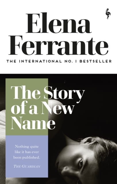 Book cover of The Story of a New Name