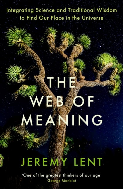 Book cover of The Web of Meaning