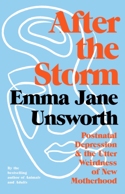 Book cover of After the Storm