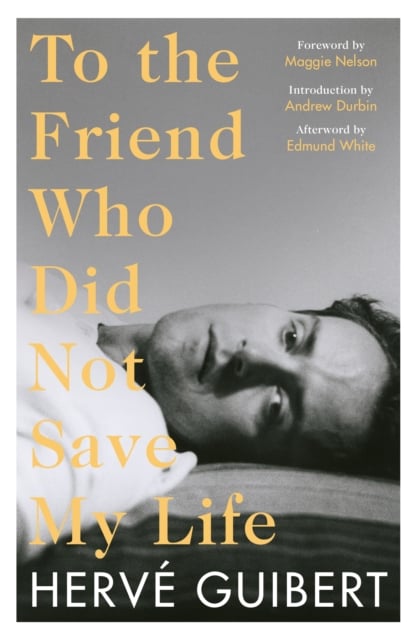 Book cover of To the Friend Who Did Not Save My Life