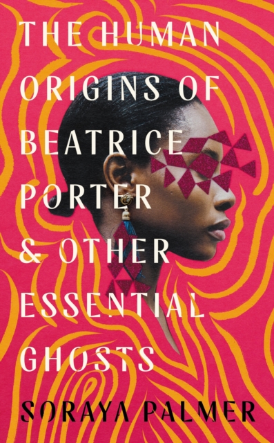 Book cover of The Human Origins of Beatrice Porter and Other Essential Ghosts