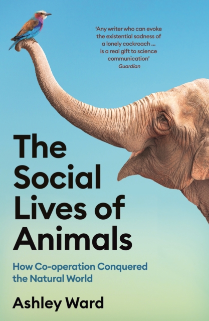 Book cover of The Social Lives of Animals