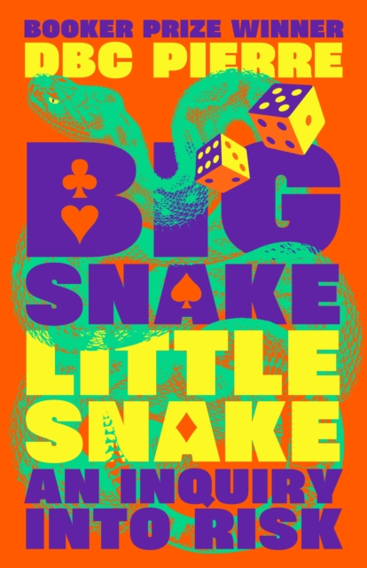 Book cover of Big Snake Little Snake