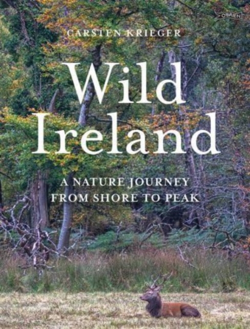 Book cover of Wild Ireland