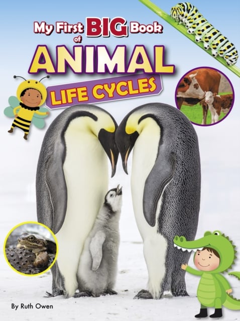 Book cover of My First BIG Book of ANIMAL Life Cycles