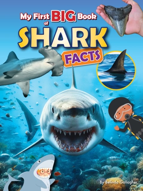 Book cover of My First BIG book of SHARK Facts