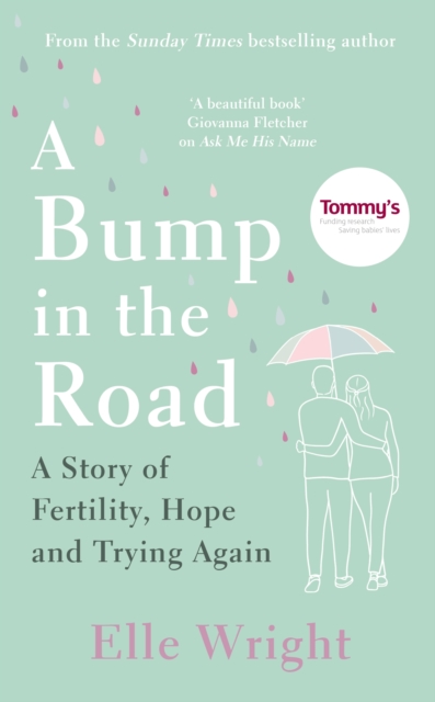 Book cover of A Bump in the Road